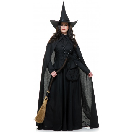 Wicked Witch Of The West Costume image