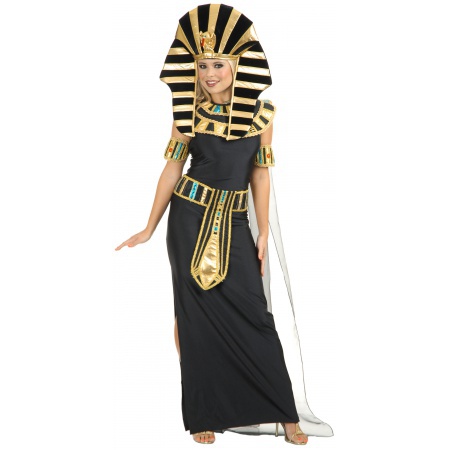 Nefertiti Costume image