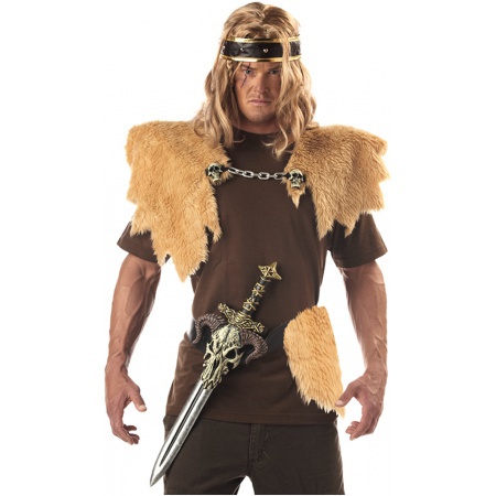 Viking Warrior Kit Costume Accessory Conan The Barbarian image
