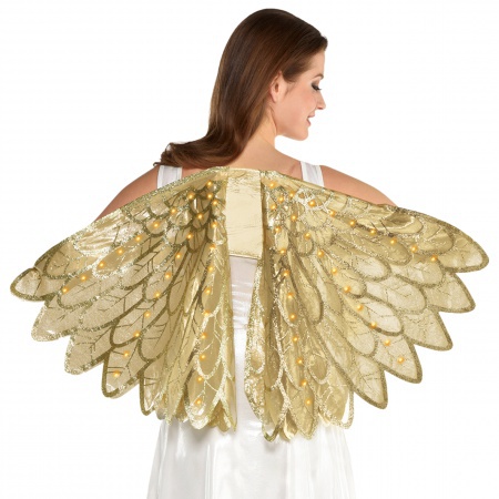 Light Up Wings image
