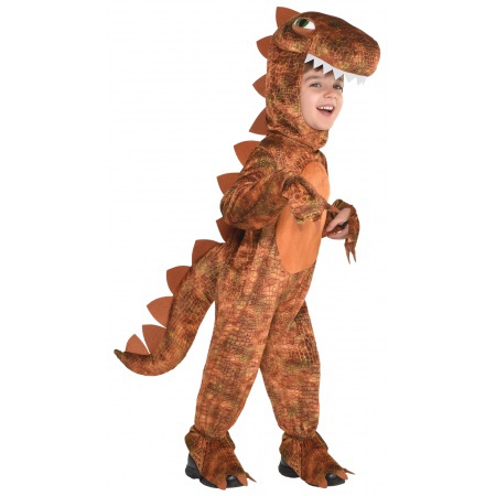 Kids Dinosaur Costume image