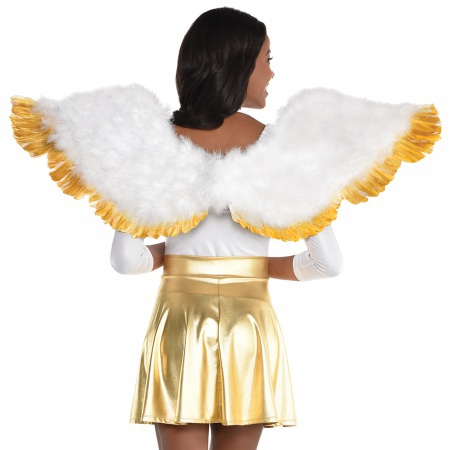 Adult Angel Wings image
