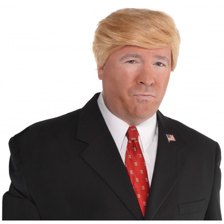 Trump Wig image