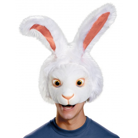 Bunny Head image