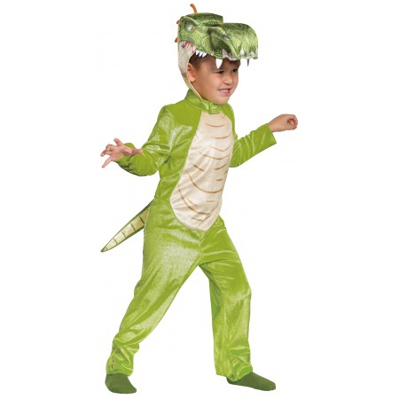 Dinosaur Costume Kids image