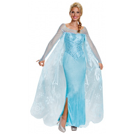 Adult Elsa Costume image