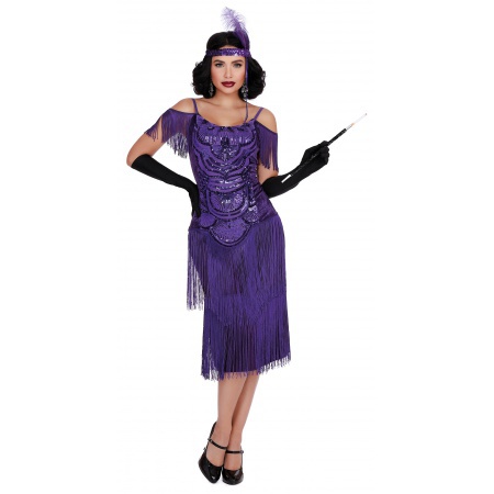 20s Flapper Costume image