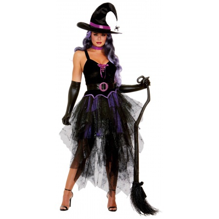 Womens Spider Witch Costume  image