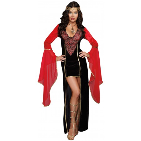 Adult Medieval Maiden Costume image