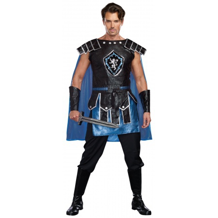 Medieval Knight Costume image