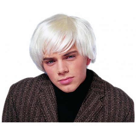 Andy Warhol Wig image