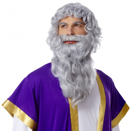 Moses Wig And Beard image