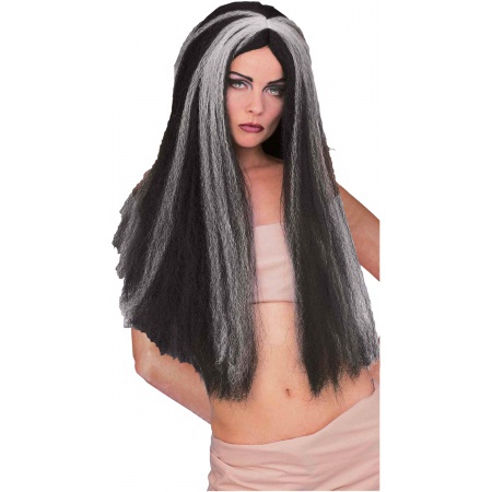 Black Wig With White Streaks image