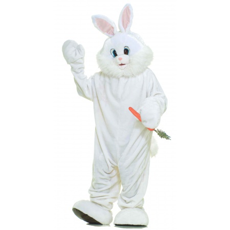 Easter Bunny Costume image