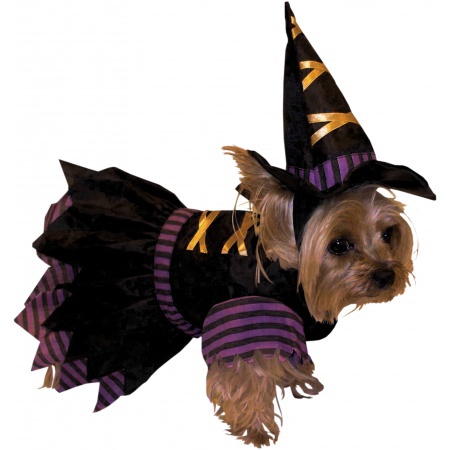 Dog Witch Costume image