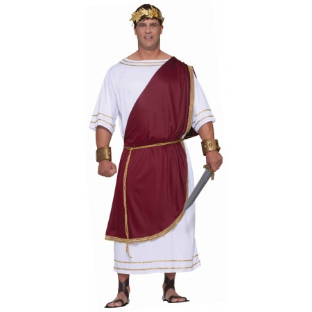 Mens Caesar Costume image
