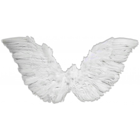 Small White Feather Angel Wings For Adults image