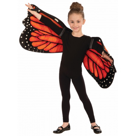 Butterfly Costume Wings image