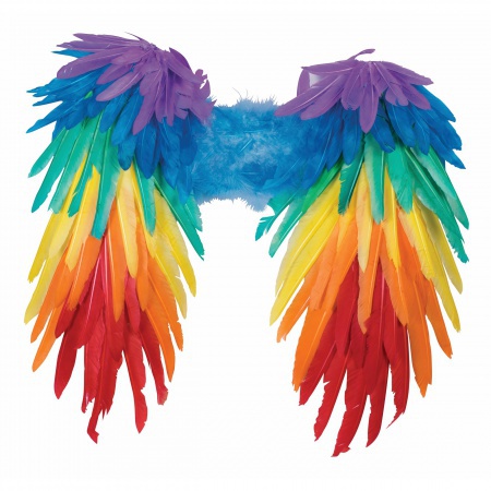 Rainbow Wings  image