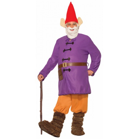 Gnome Costume image