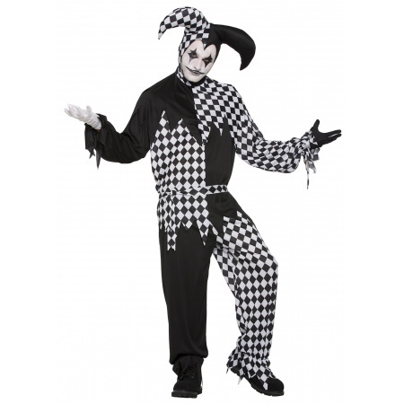 Adult Jester Costume  image