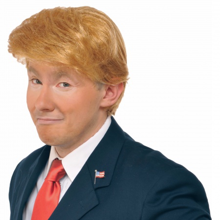 Donald Trump Wig image