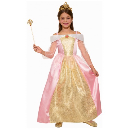 Princess Dress Up Costume image