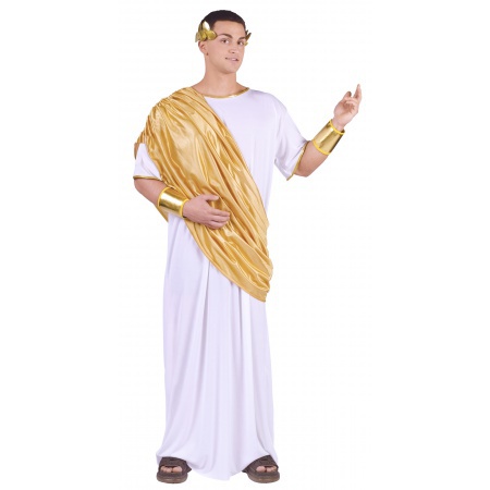Roman Toga Costume image