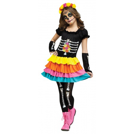 Day Of The Dead Girl Costume For Halloween image