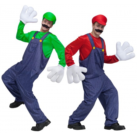 Mario And Luigi Costume image