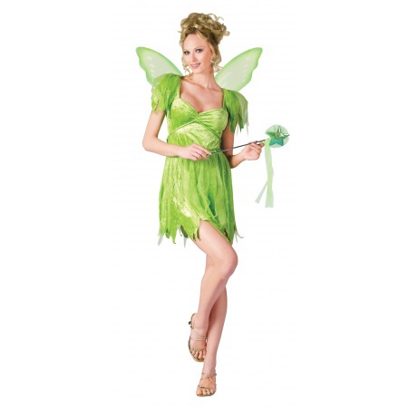 Tinkerbell Costume Adult image