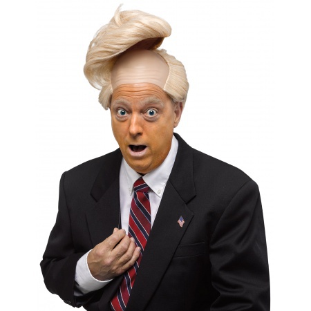 Trump Wig Costume Accessory image