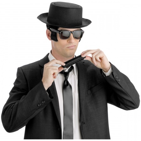 Blues Brothers Costume image