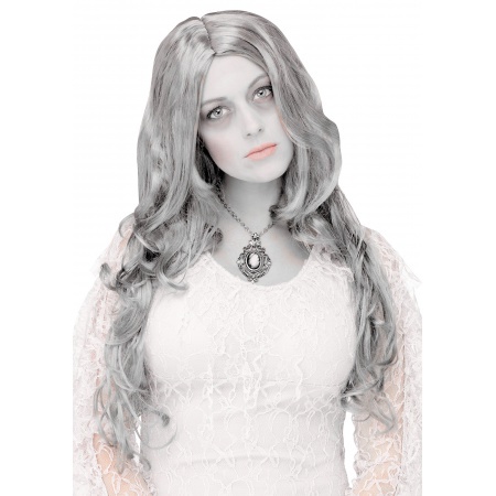 Long Grey Ghost Wig image