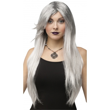 Long Silver Grey Wig image