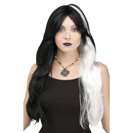 Long Black Wig With White Streak image