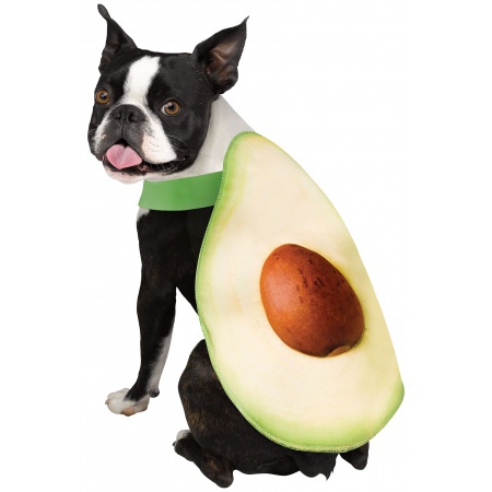 Dog Avocado Costume image