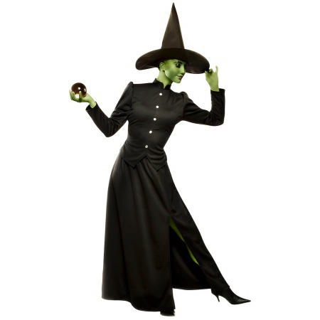 Adult Wicked Witch Of The West Costume image