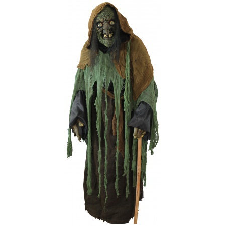 Scary Witch Costume image