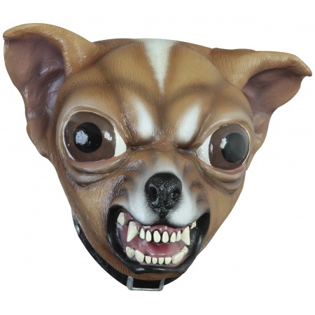Chihuahua Mask image