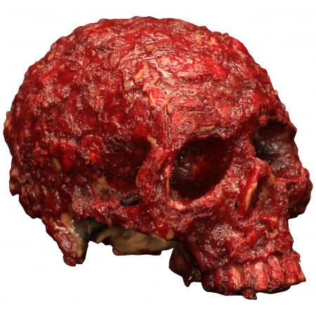 Skull Decoration image