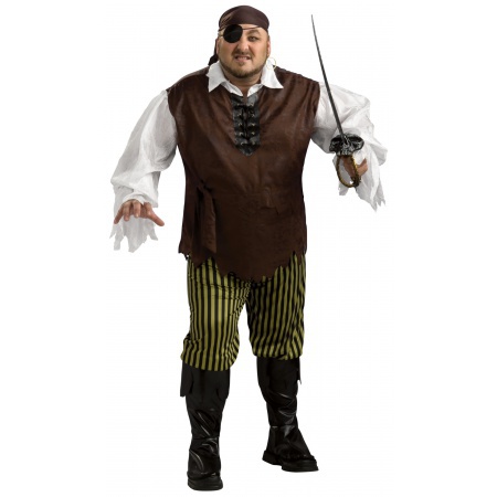 Swashbuckler Costume image