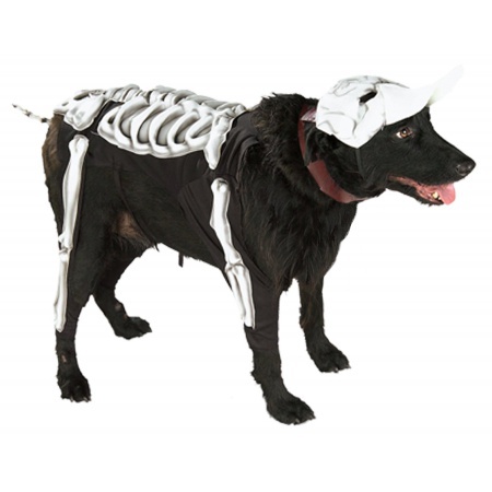 Skeleton Dog Costume image
