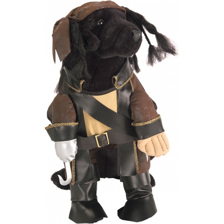 Pirate Dog Costume image