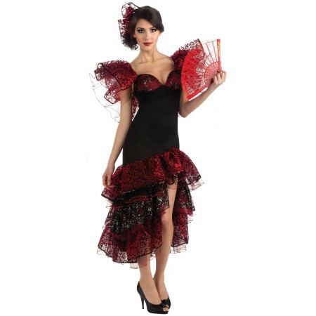 Flamenco Dancer Costume image