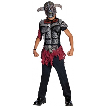 Warrior Costume For Kids image