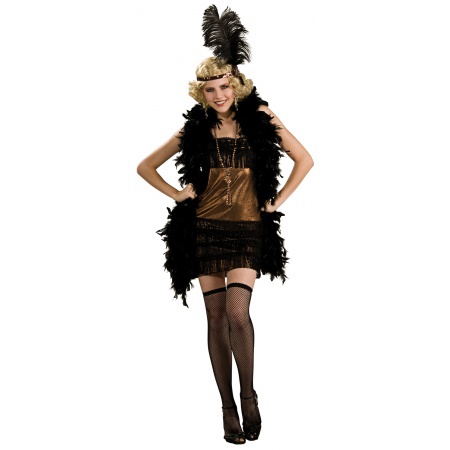 Flapper Dress Costume image