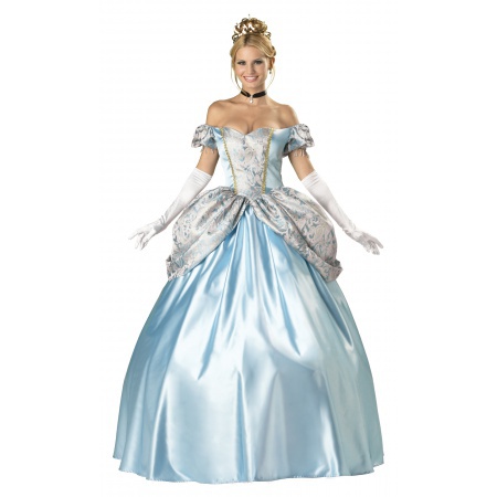 Cinderella Costume Adult image