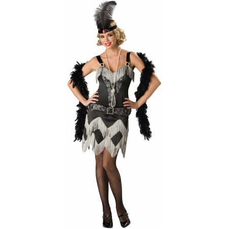 Adult 1920s Flapper Costume image