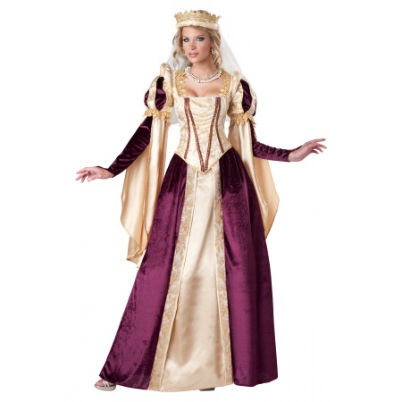 Renaissance Princess Costume image